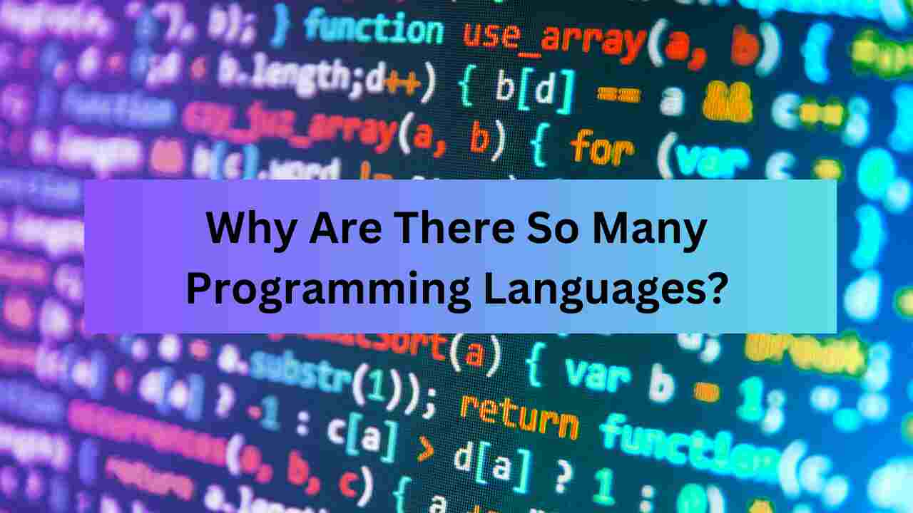 Why Are There So Many Programming Languages?