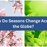 How Do Seasons Change Across the Globe?