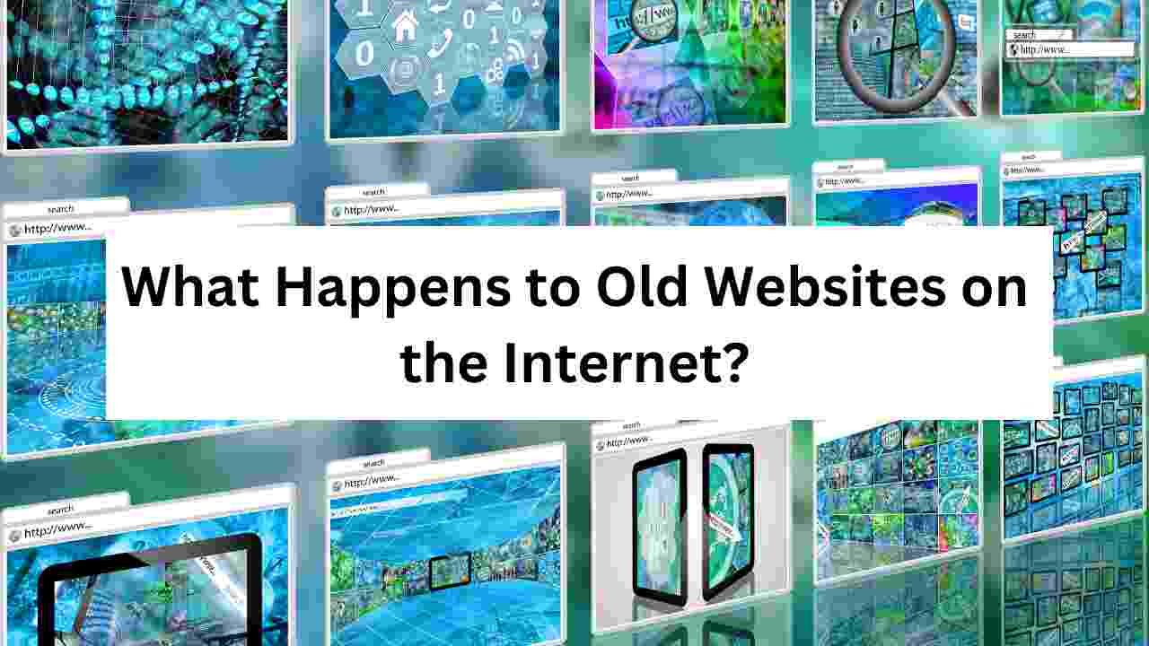 What Happens to Old Websites on the Internet