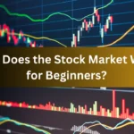 How Does the Stock Market Work for Beginners?