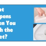 What Happens When You Flush the Toilet?