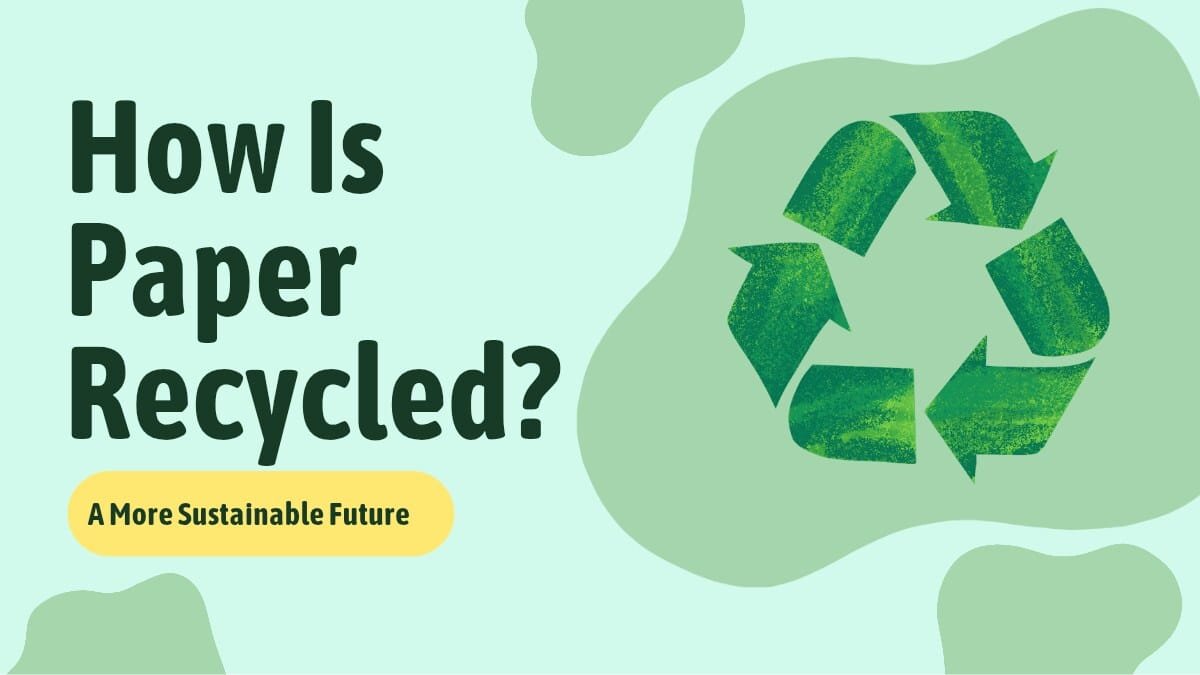 How Is Paper Recycled?