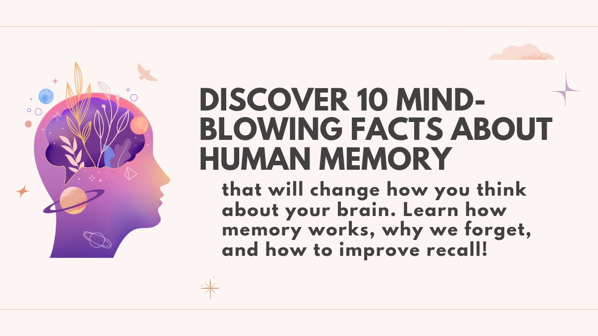 that will change how you think about your brain. Learn how memory works, why we forget, and how to improve recall!